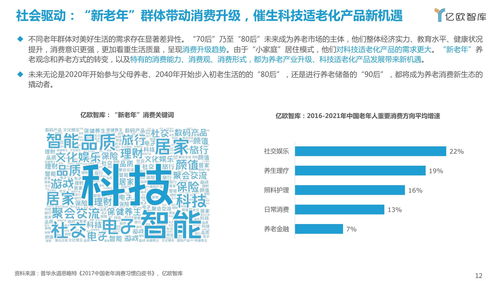 2021中國(guó)科技適老化產(chǎn)品研究報(bào)告 信息技術(shù)咨詢服務(wù)的引領(lǐng)與賦能