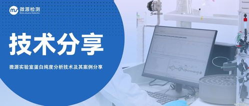 實(shí)驗(yàn)室蛋白純度分析技術(shù)全解析